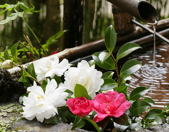 グッズプロ 奉納名・御奉納・祭礼名など神社でよく使われるのぼり旗デザイン例と価格帯相場