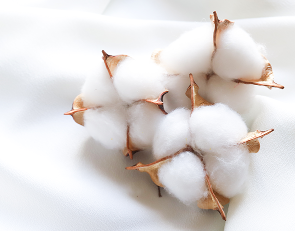 グッズプロ キャンバスベーシックポーチ