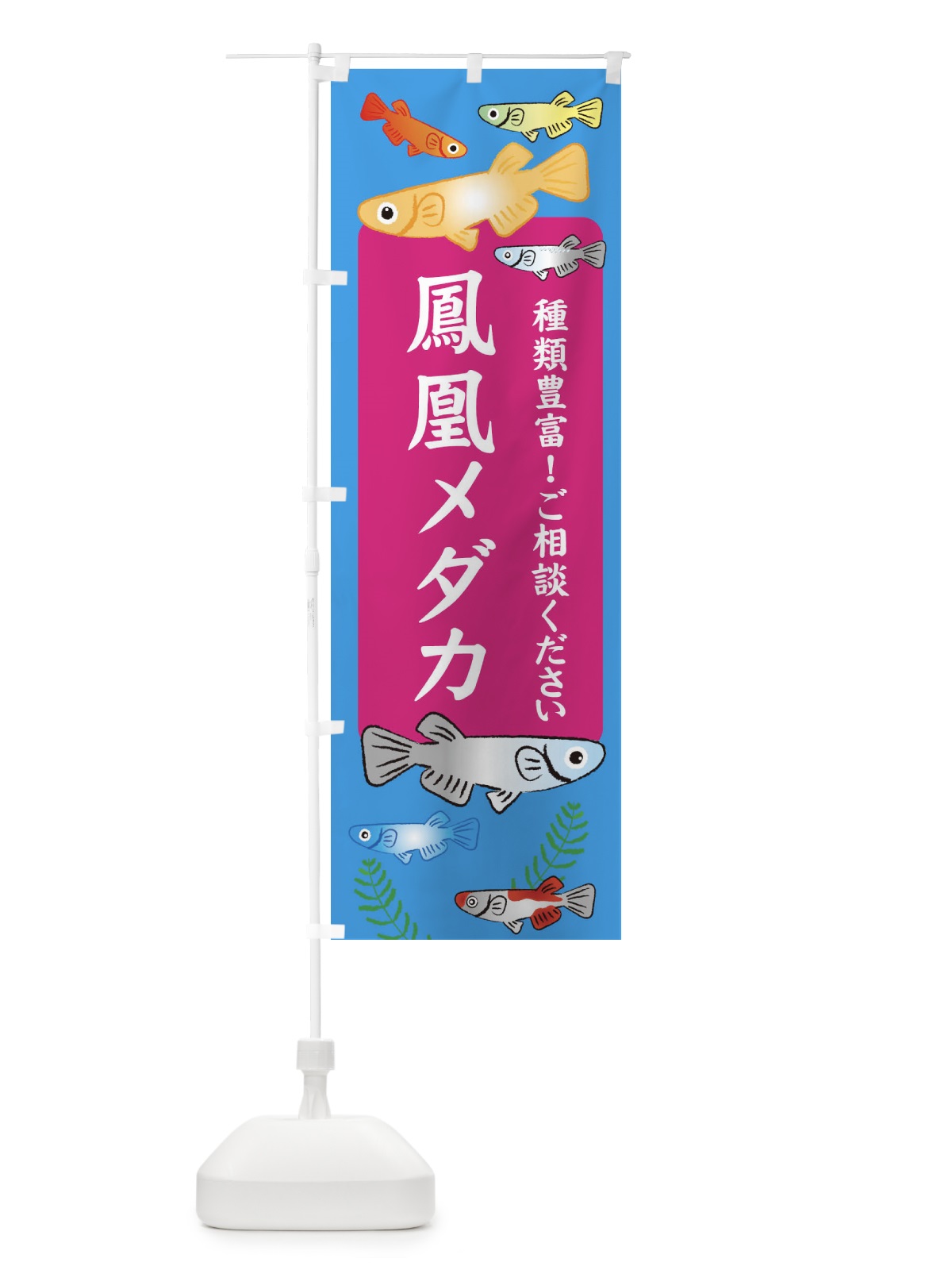 のぼり 鳳凰メダカ のぼり旗 30PK(デザイン【C】)