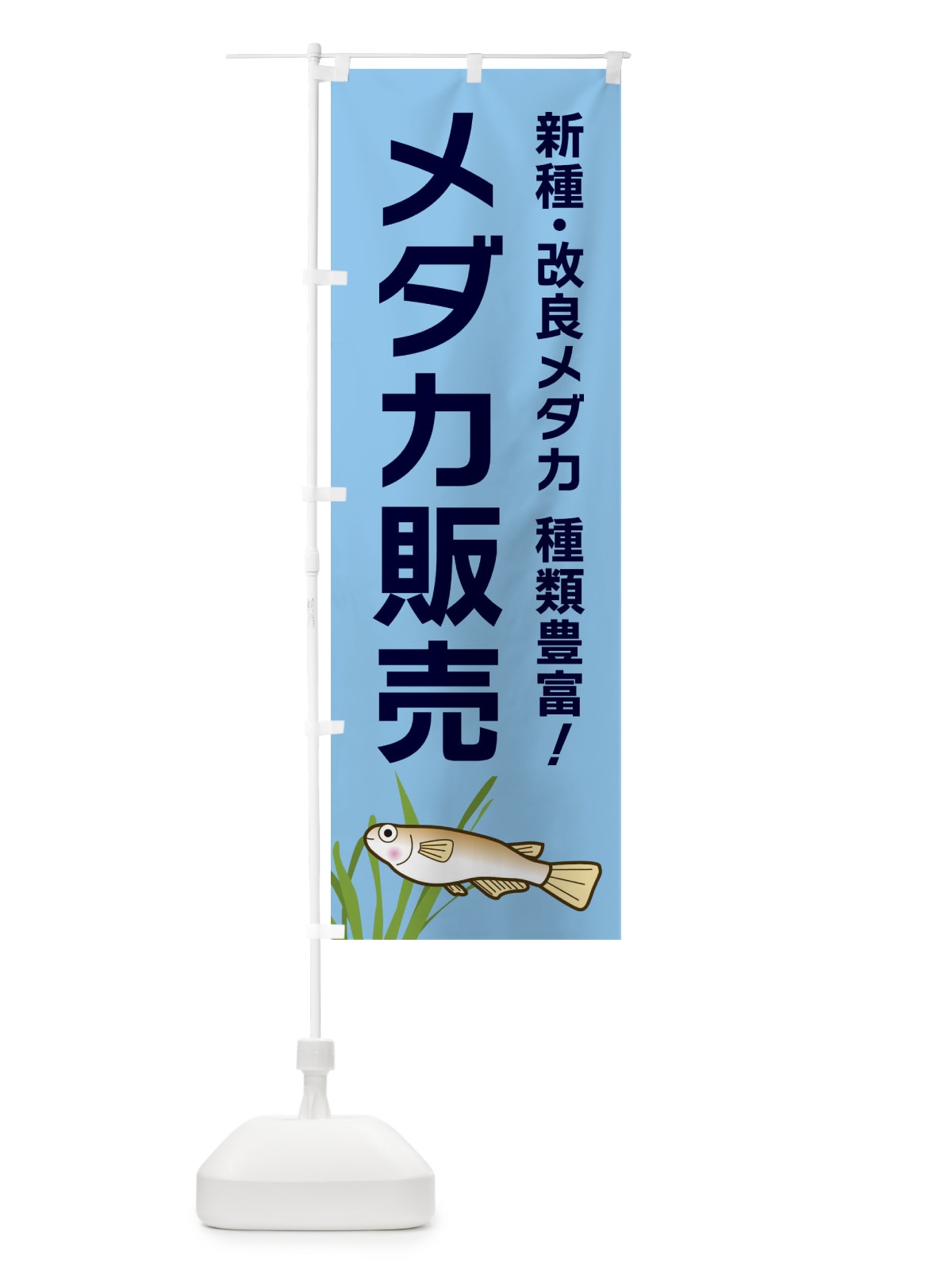 のぼり メダカ販売 のぼり旗 31Y4(デザイン【B】)