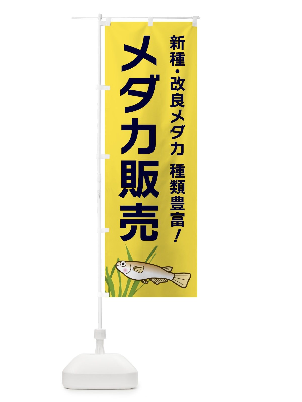 のぼり メダカ販売 のぼり旗 31Y4(デザイン【C】)