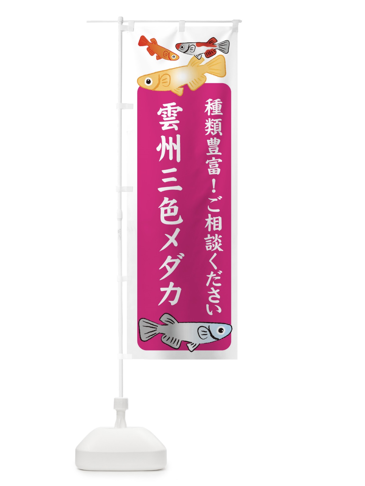 のぼり 雲州三色メダカ・めだか のぼり旗 3GGA(デザイン【C】)