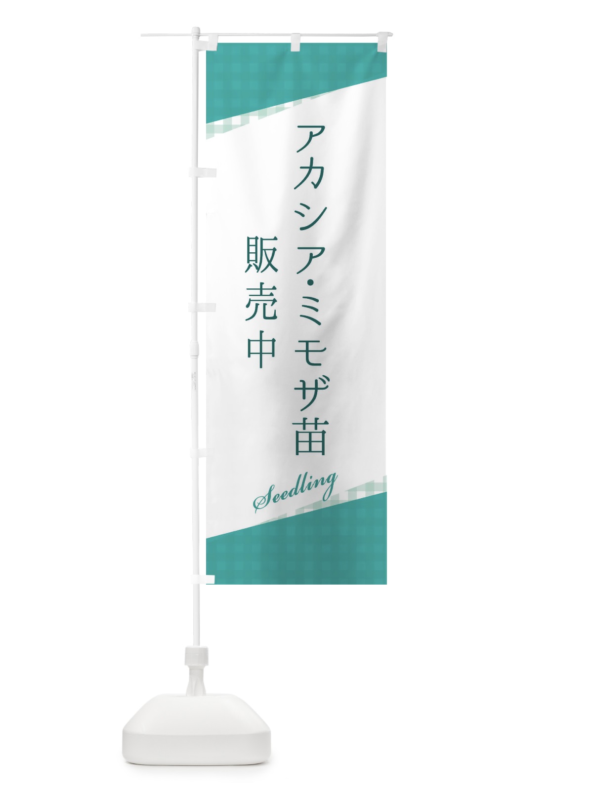 のぼり アカシア・ミモザ苗販売中 のぼり旗 3HY7(デザイン【C】)