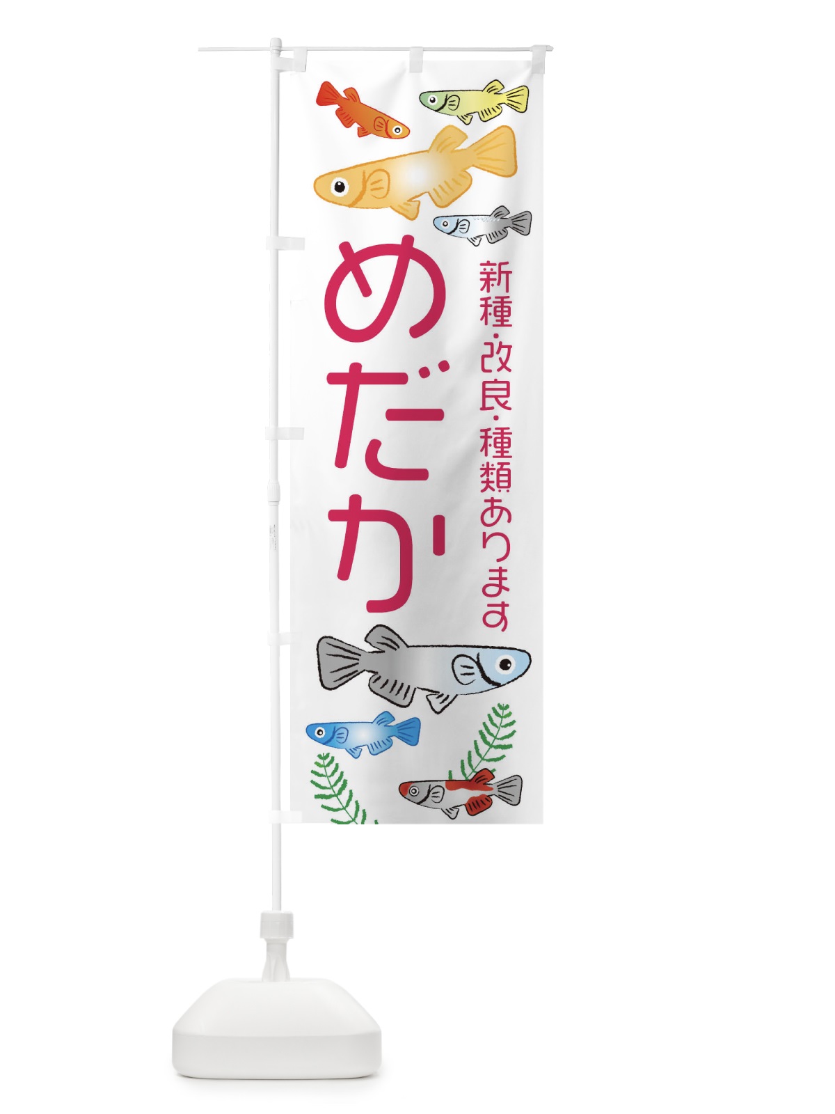 のぼり 新種・改良・メダカ種類あります のぼり旗 3UT1(デザイン【B】)