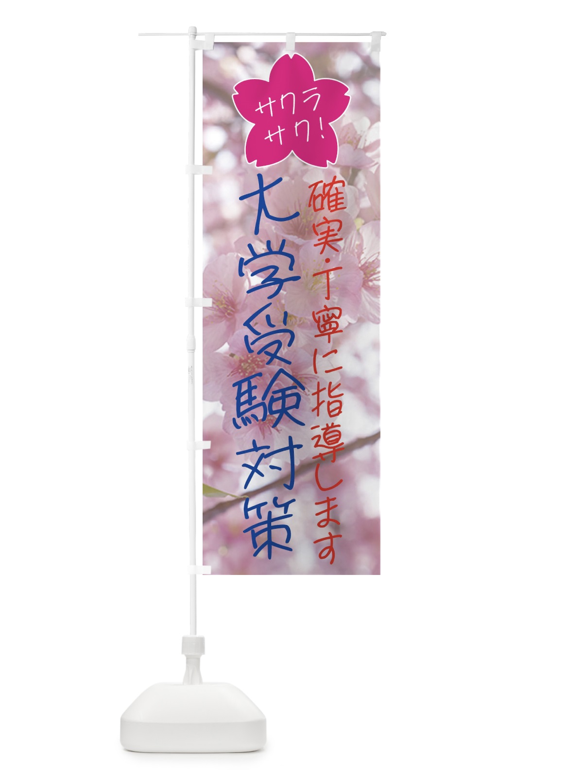 のぼり 大学受験対策・学習塾・予備校 のぼり旗 4N17(デザイン【A】)