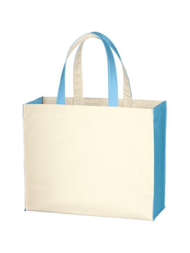 ユーティリティバッグコンビ（Ｌ）ワイド２　シーブルー 6CNX