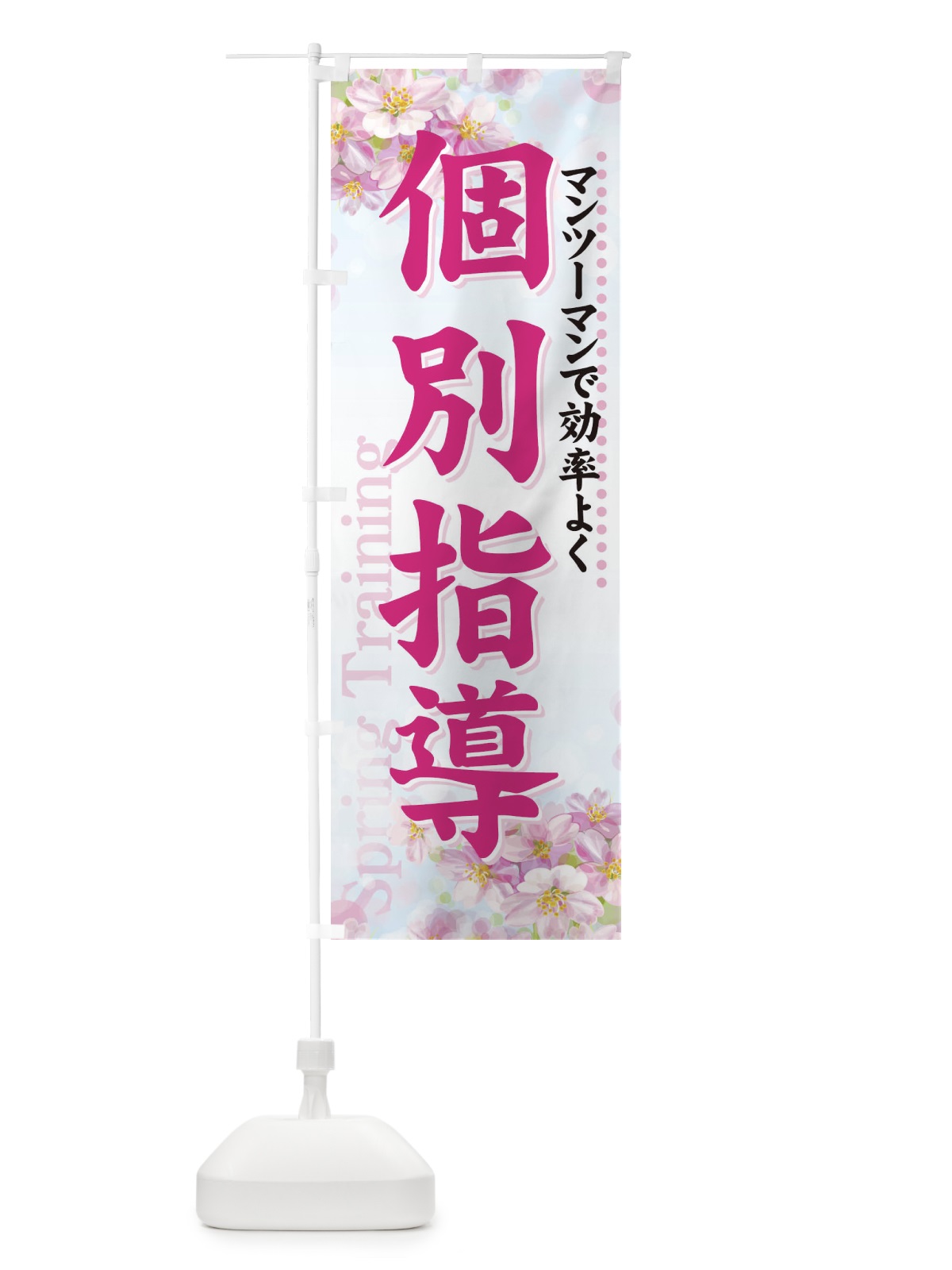 のぼり 個別指導 のぼり旗 718W(デザイン【A】)