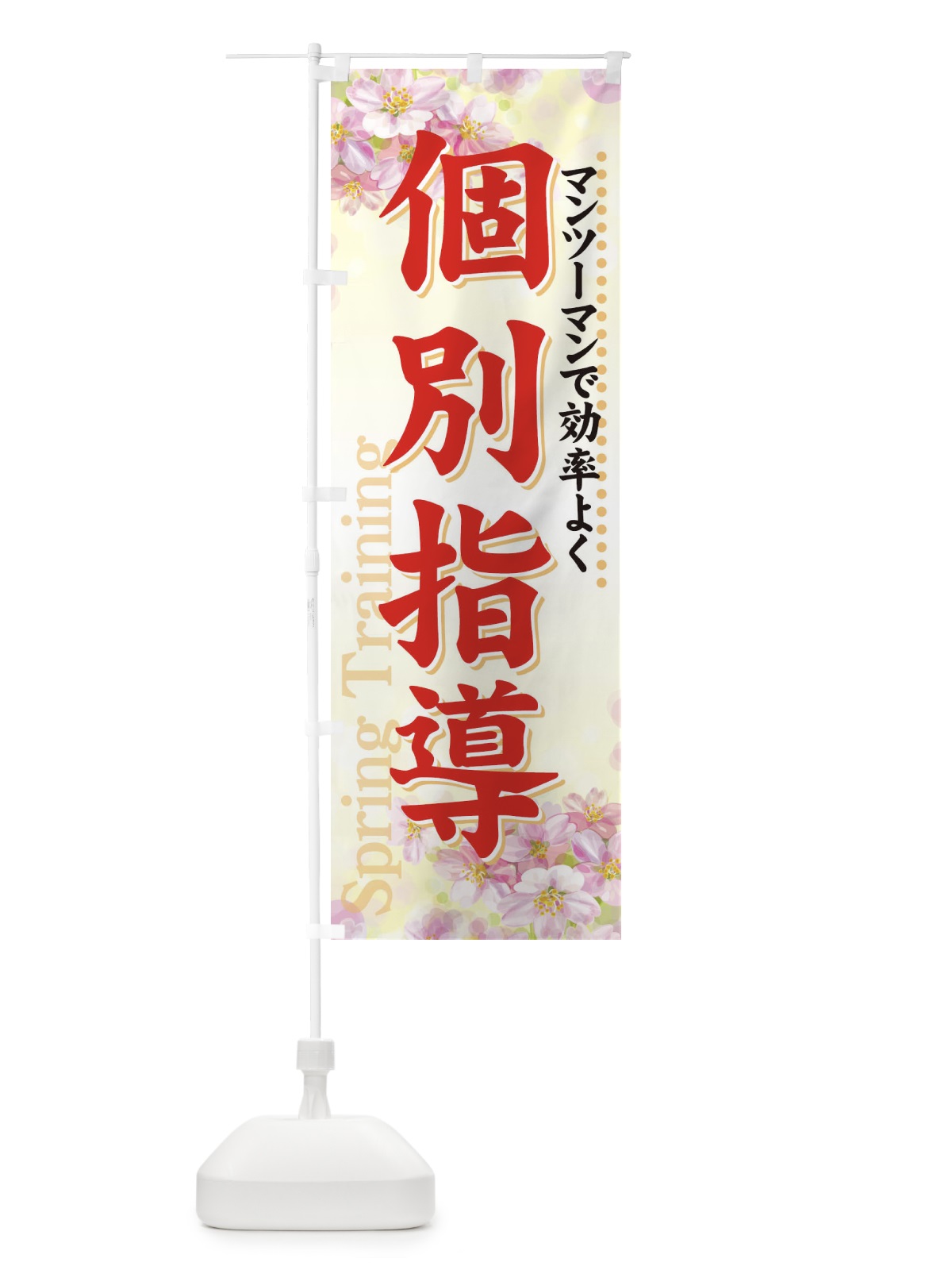 のぼり 個別指導 のぼり旗 718W(デザイン【B】)