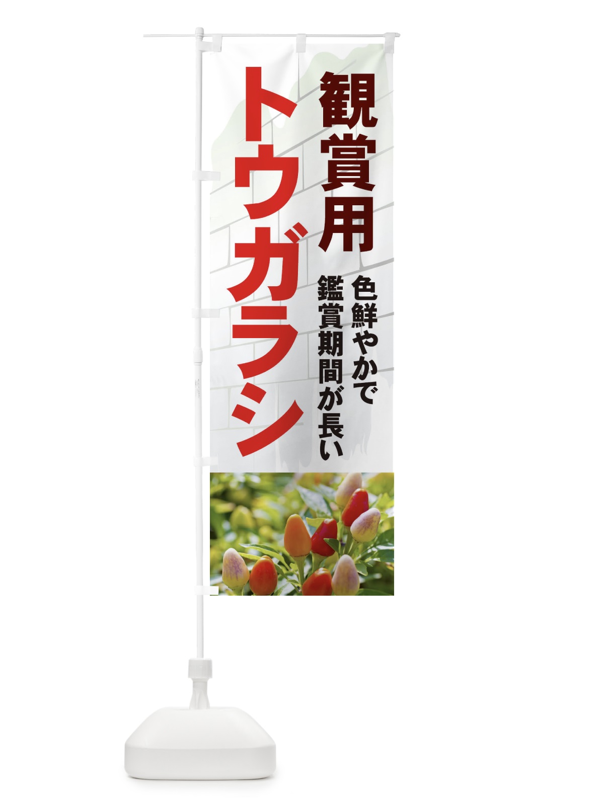 のぼり 観賞用トウガラシ のぼり旗 71TF(デザイン【A】)