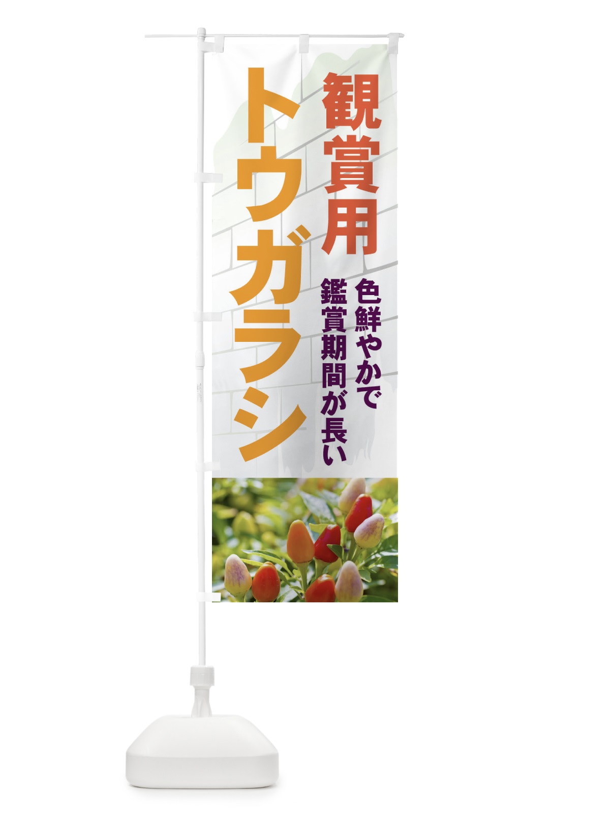のぼり 観賞用トウガラシ のぼり旗 71TF(デザイン【B】)