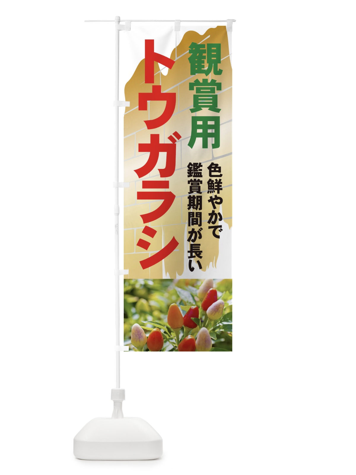 のぼり 観賞用トウガラシ のぼり旗 71TF(デザイン【C】)