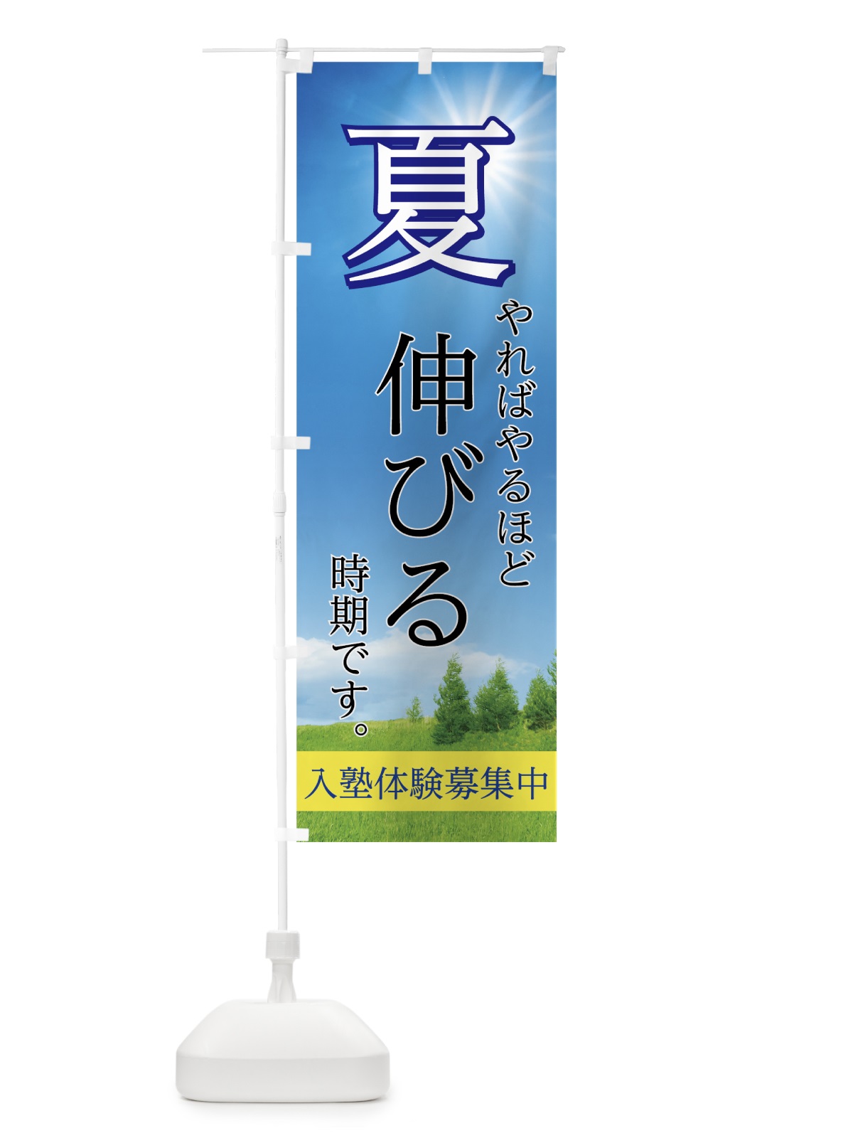 のぼり 夏塾体験募集中 のぼり旗 755N(デザイン【A】)