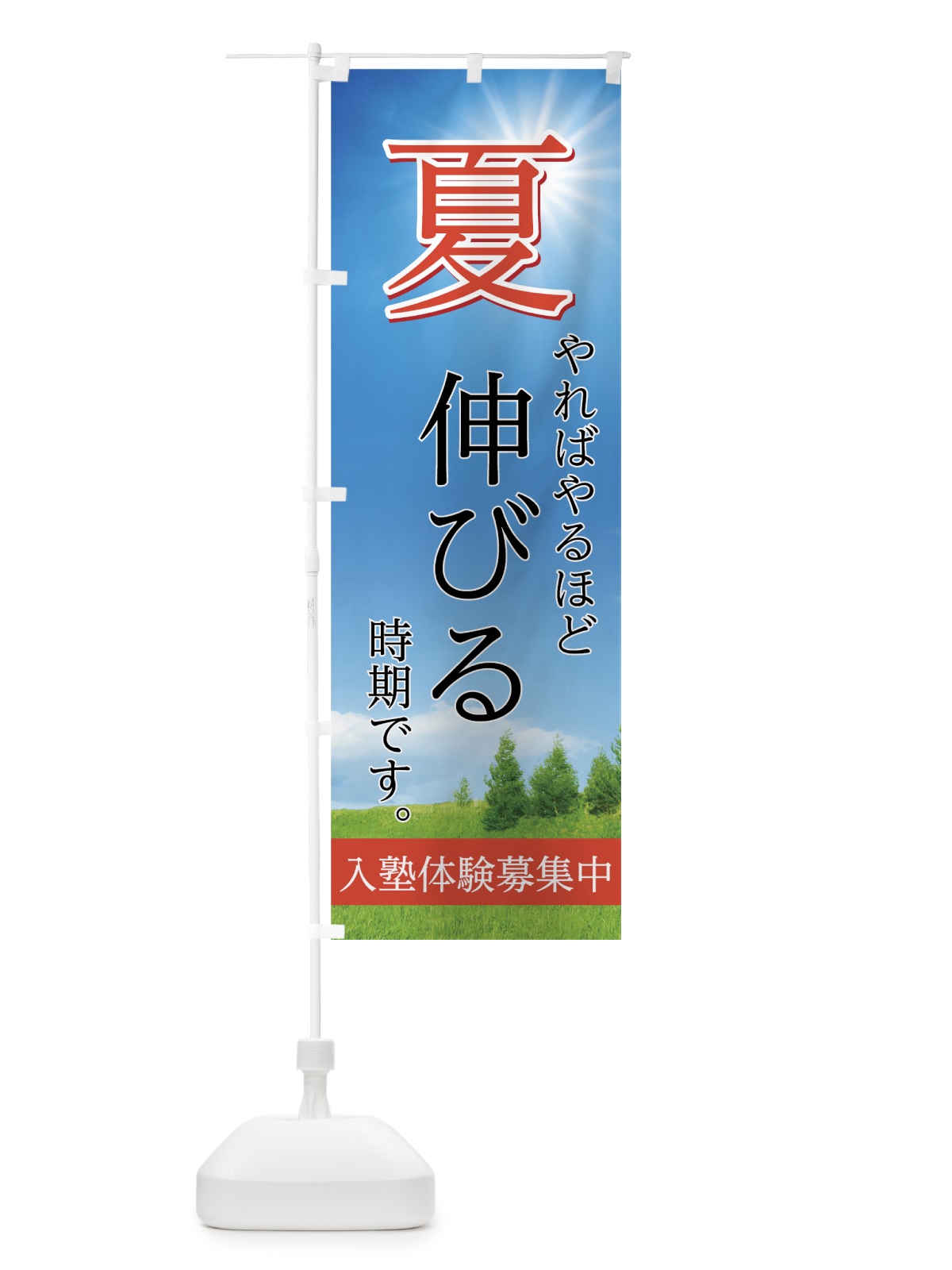 のぼり 夏塾体験募集中 のぼり旗 755N(デザイン【C】)