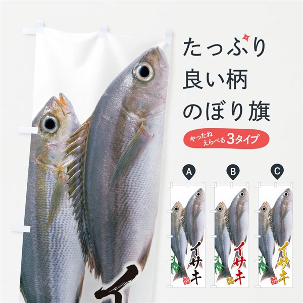 のぼり イサキ／鶏魚 のぼり旗 E5J6