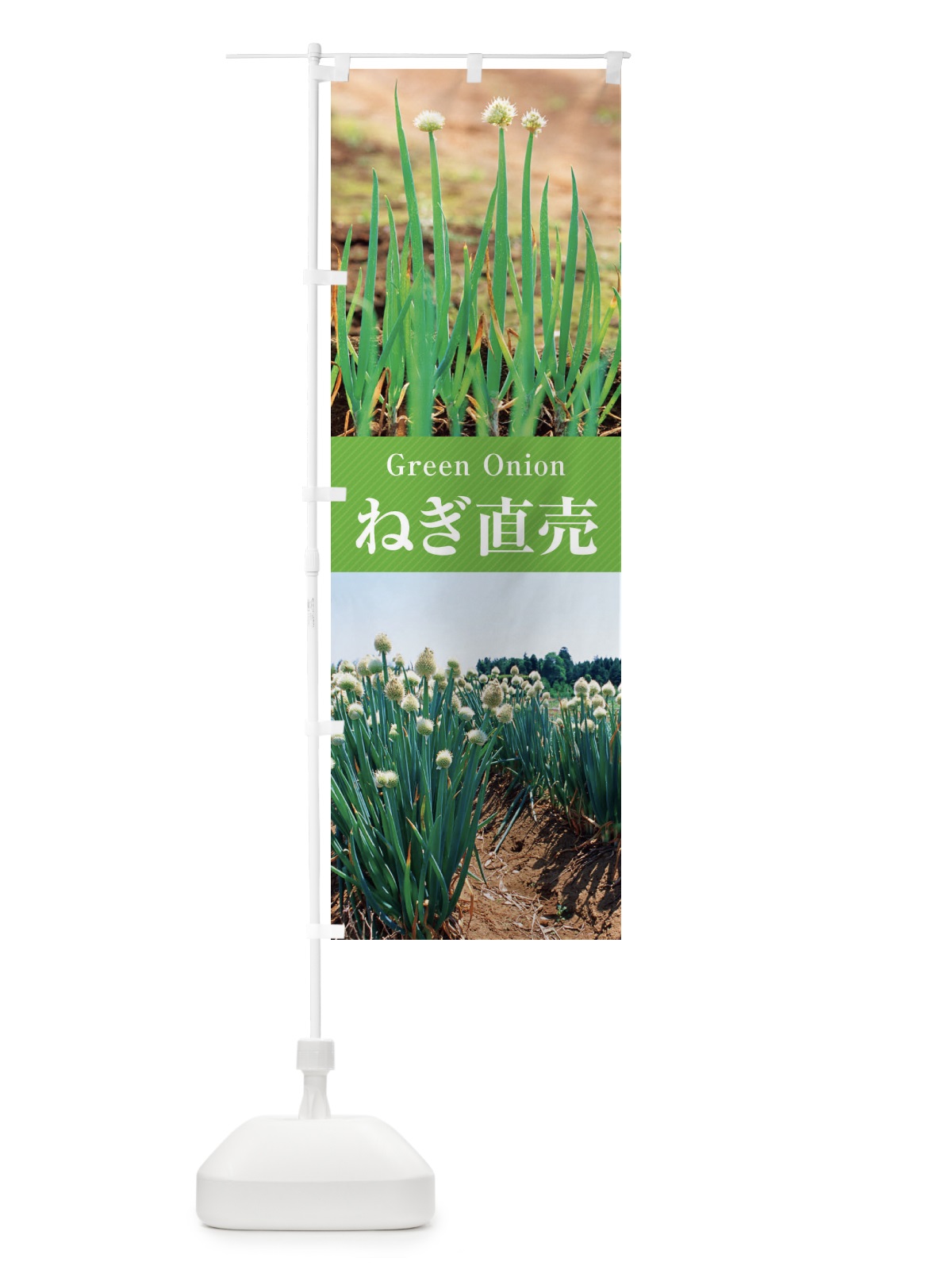 のぼり ねぎ直売／葱 のぼり旗 E6CS(デザイン【A】)