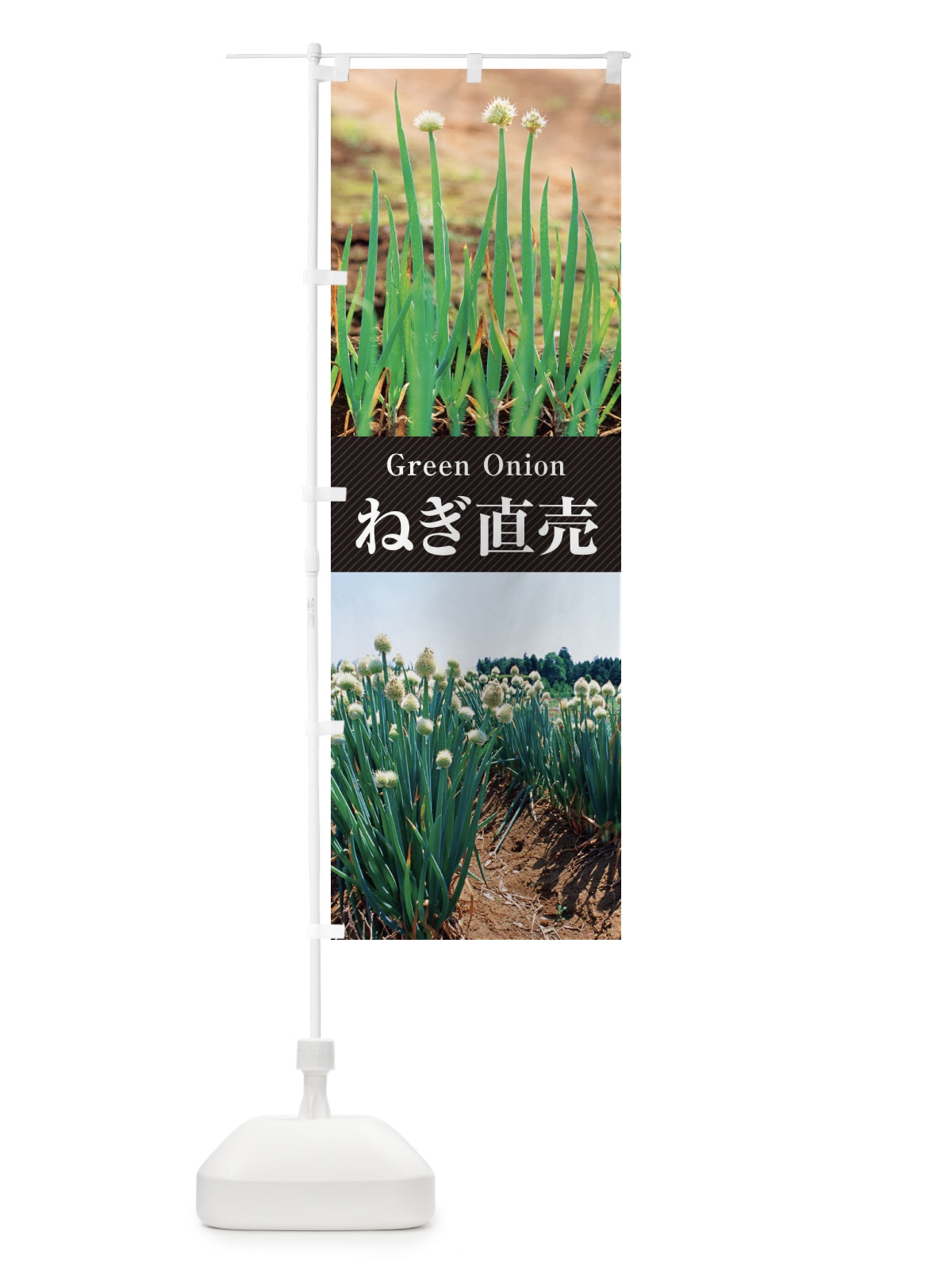 のぼり ねぎ直売／葱 のぼり旗 E6CS(デザイン【B】)