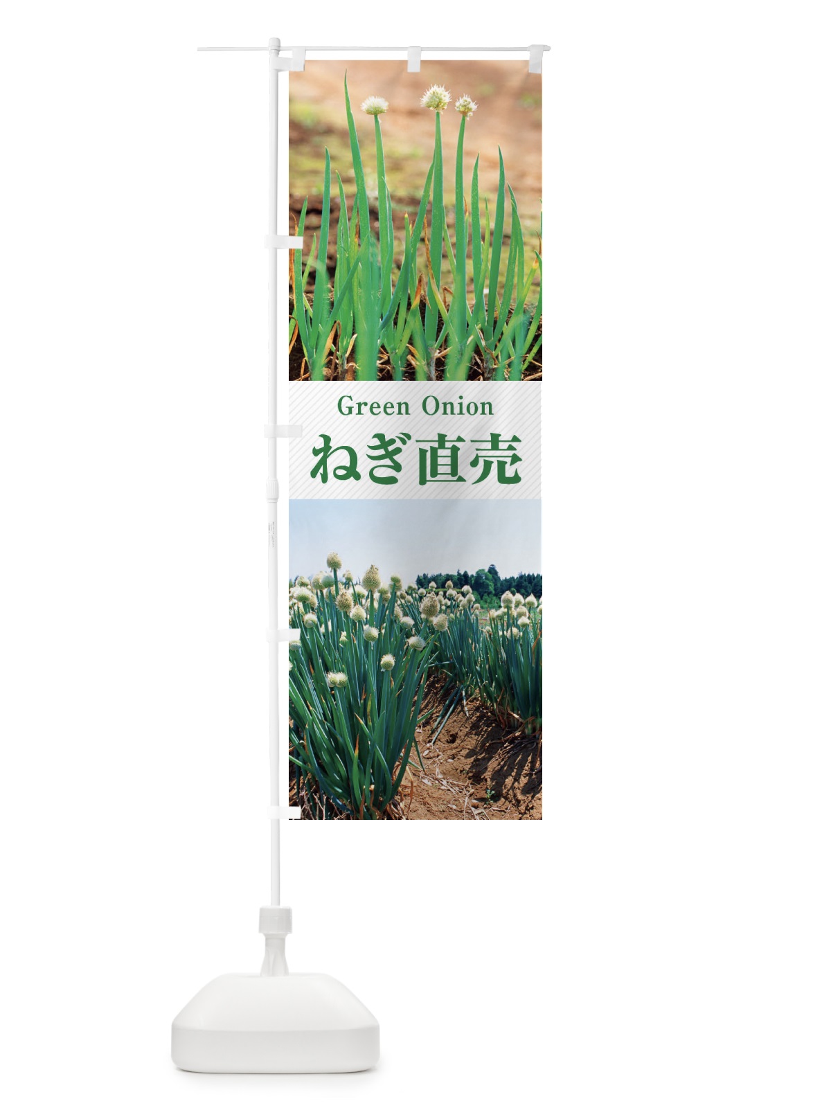 のぼり ねぎ直売／葱 のぼり旗 E6CS(デザイン【C】)