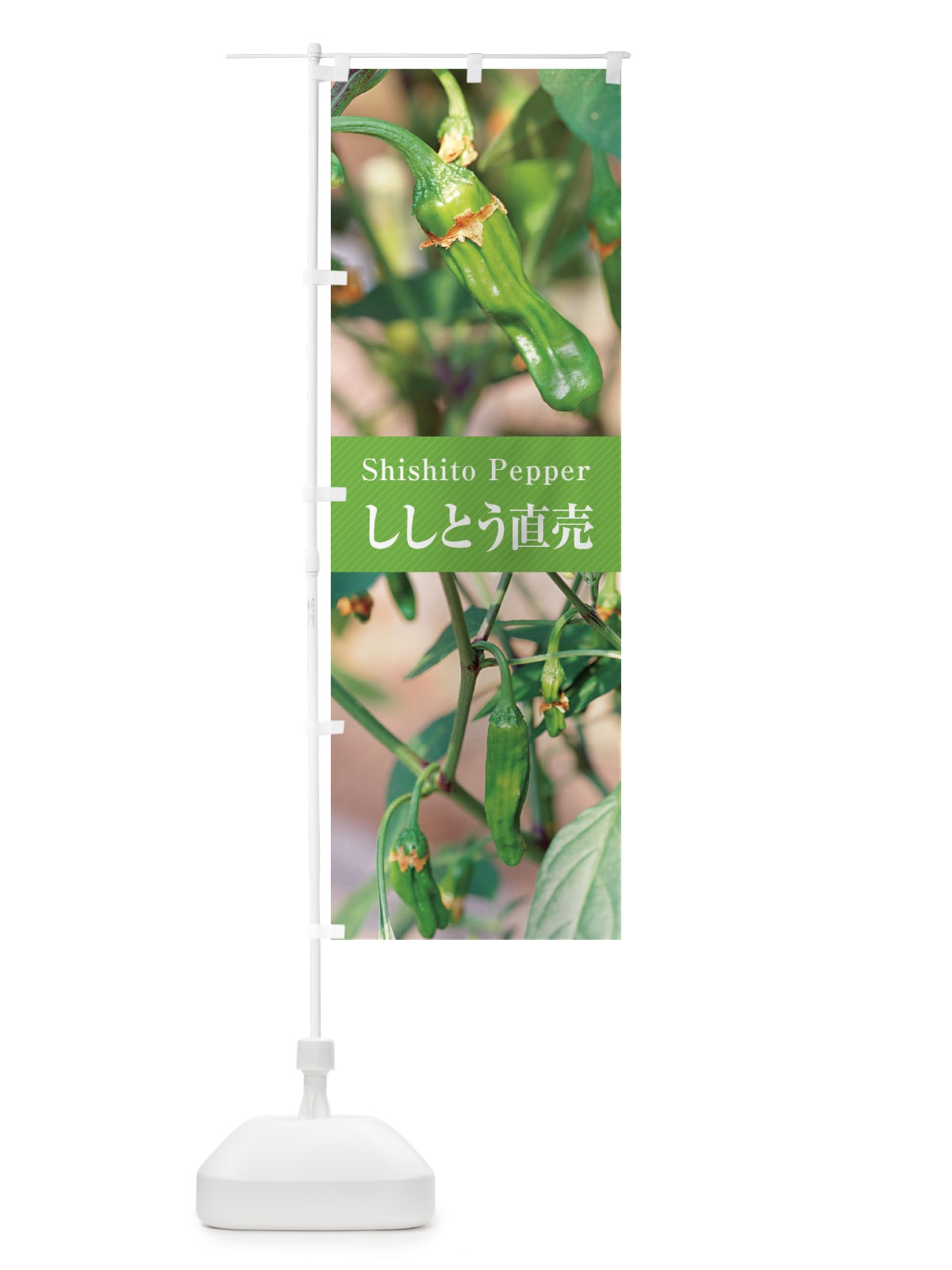 のぼり ししとう直売／獅子唐辛子 のぼり旗 E6JS(デザイン【A】)