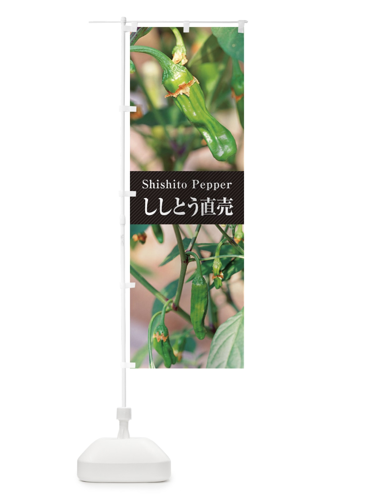 のぼり ししとう直売／獅子唐辛子 のぼり旗 E6JS(デザイン【B】)