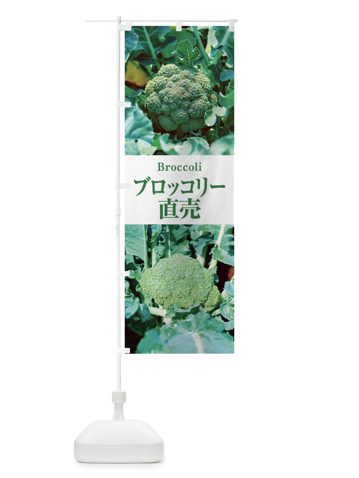 のぼり ブロッコリー直売 のぼり旗 E6LJ(デザイン【C】)