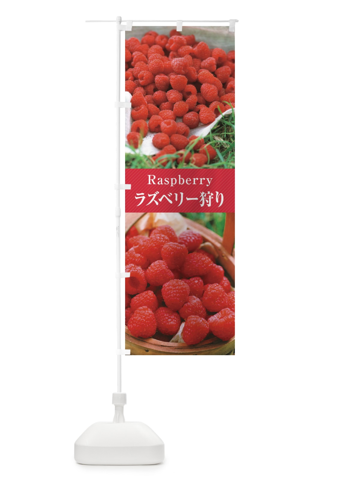 のぼり ラズベリー狩り のぼり旗 E6R2(デザイン【A】)