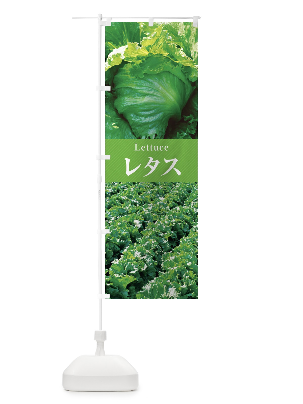のぼり レタス のぼり旗 E6R3(デザイン【A】)