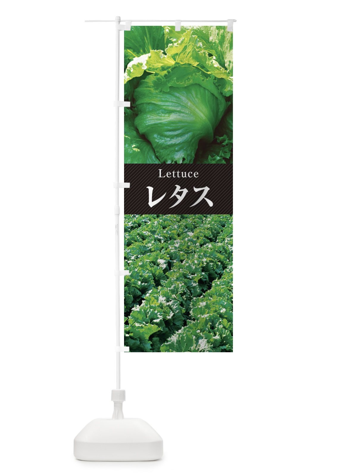 のぼり レタス のぼり旗 E6R3(デザイン【B】)