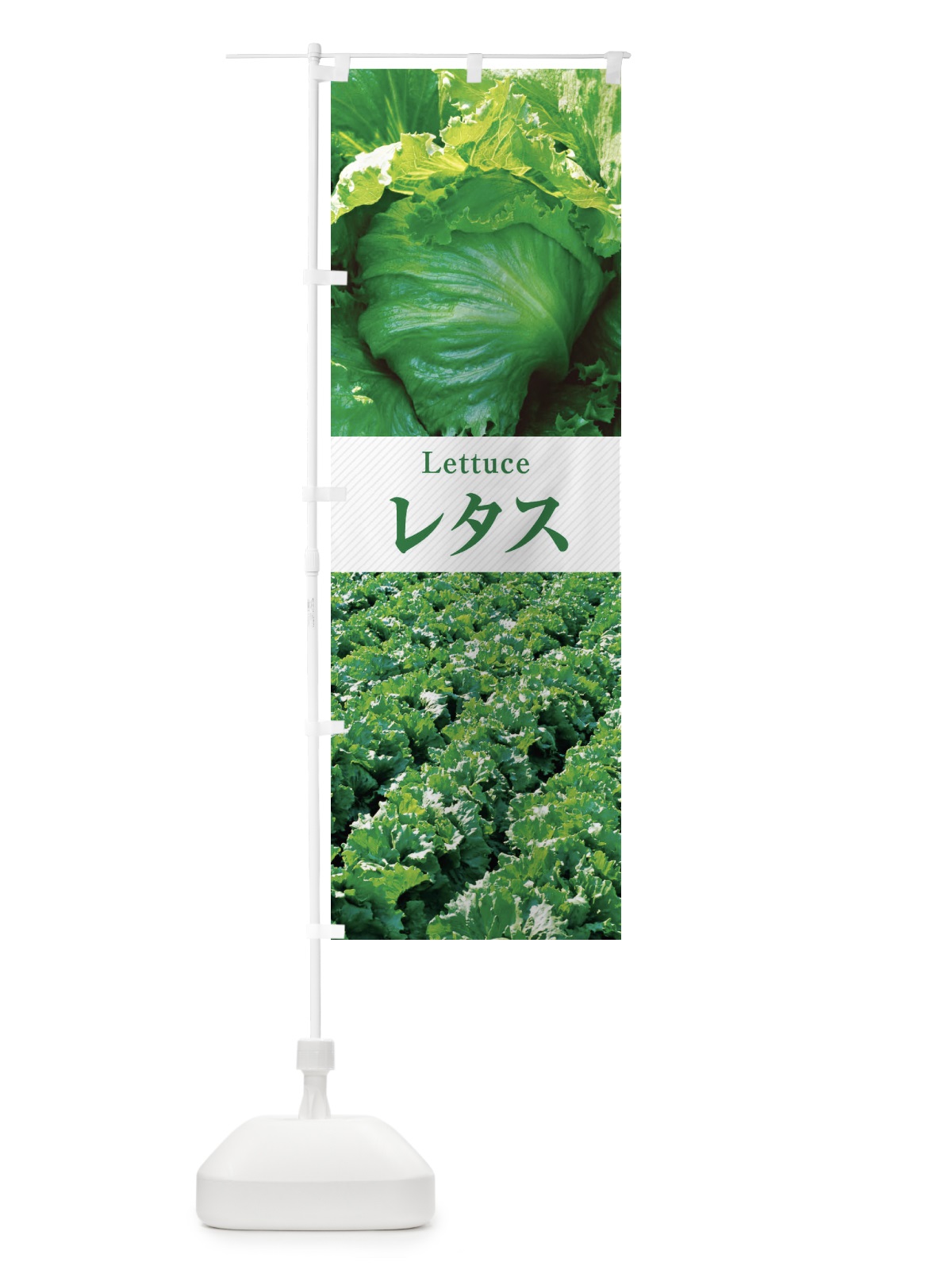 のぼり レタス のぼり旗 E6R3(デザイン【C】)