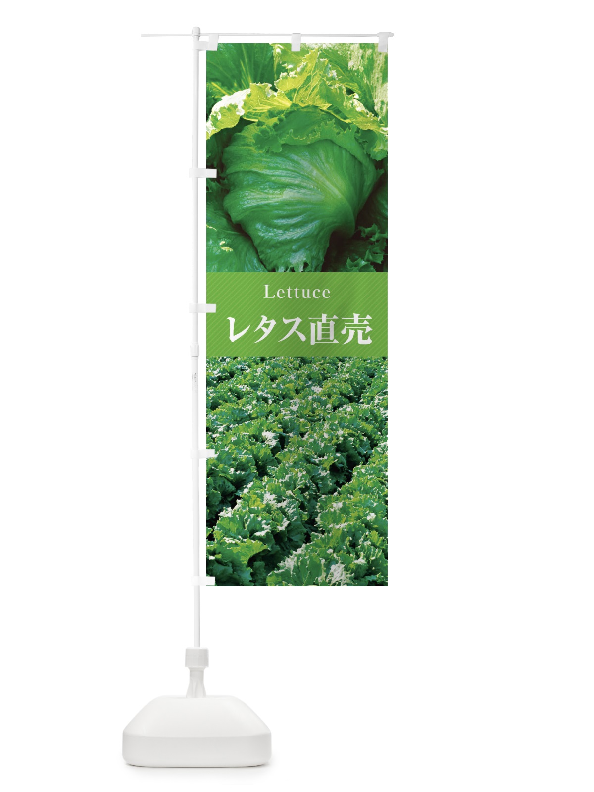 のぼり レタス直売 のぼり旗 E6RF(デザイン【A】)