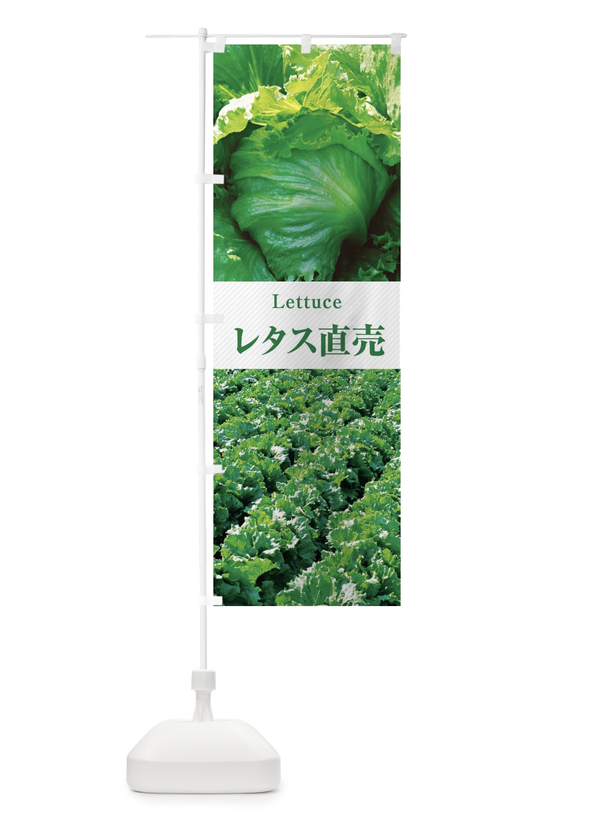 のぼり レタス直売 のぼり旗 E6RF(デザイン【C】)