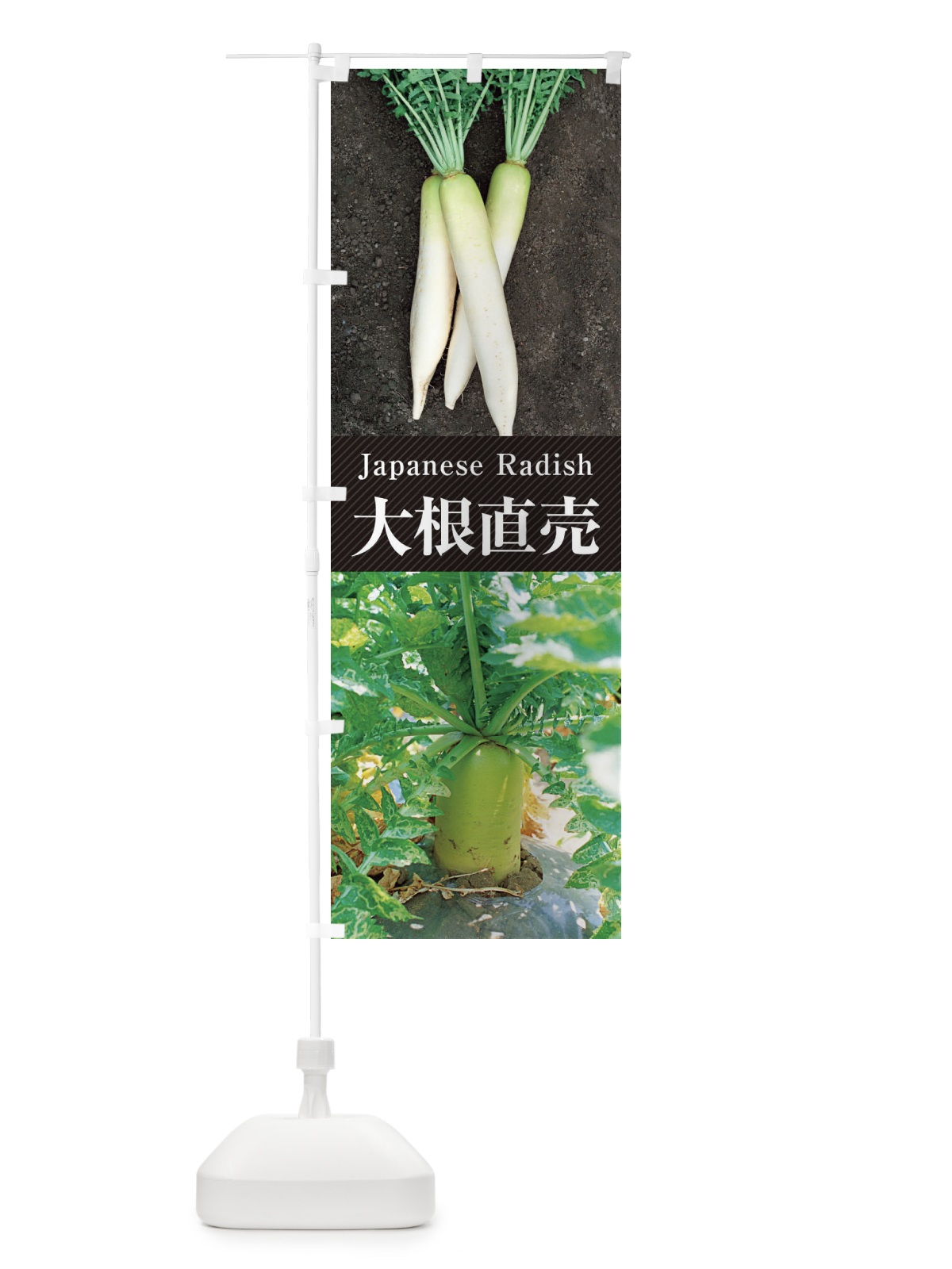 のぼり 大根直売 のぼり旗 E6RG(デザイン【B】)