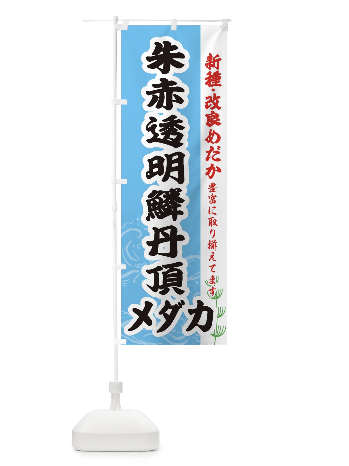 のぼり 朱赤透明鱗丹頂メダカ のぼり旗 EF7P(デザイン【B】)