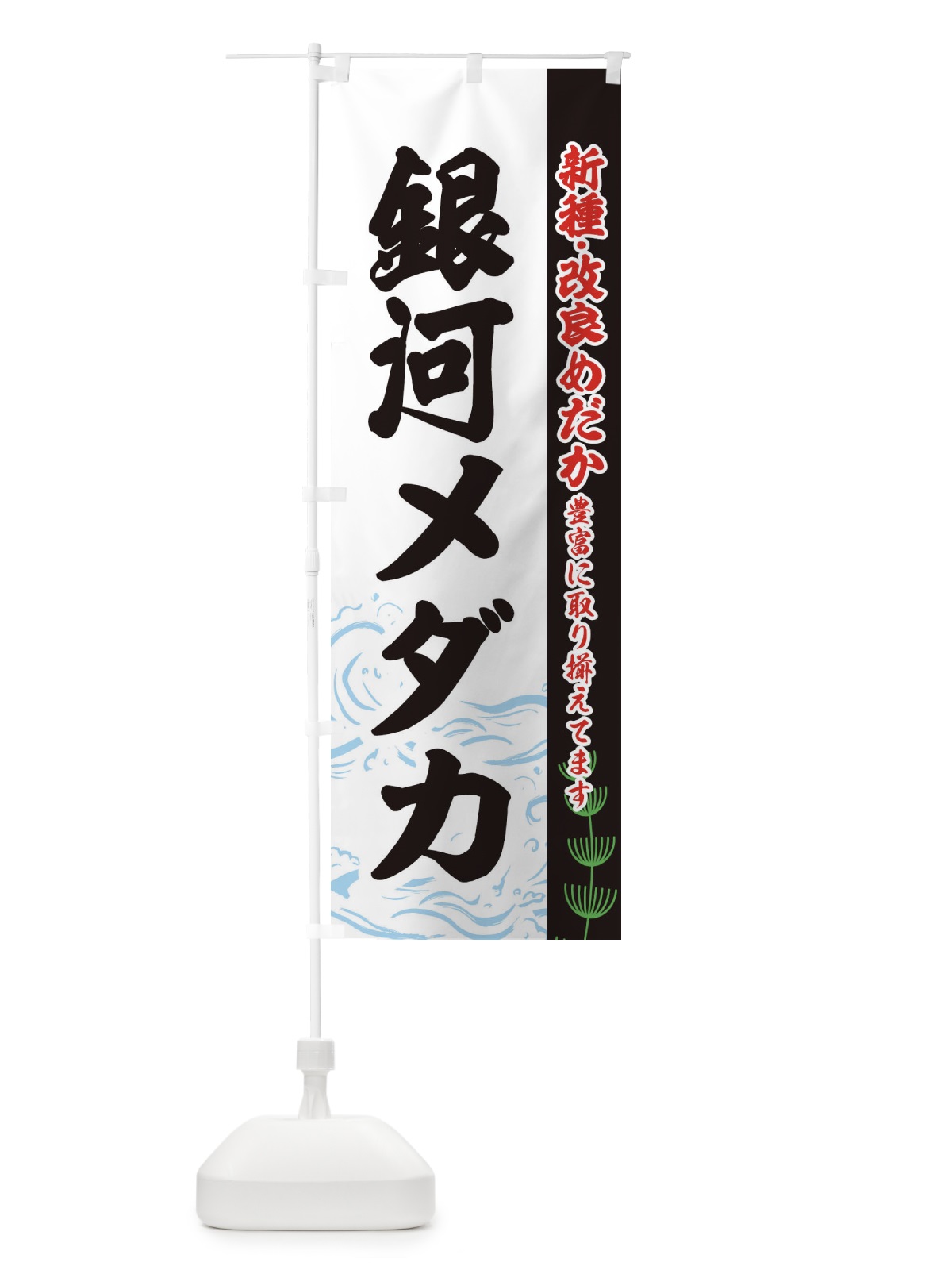 のぼり 銀河メダカ のぼり旗 EU81(デザイン【C】)