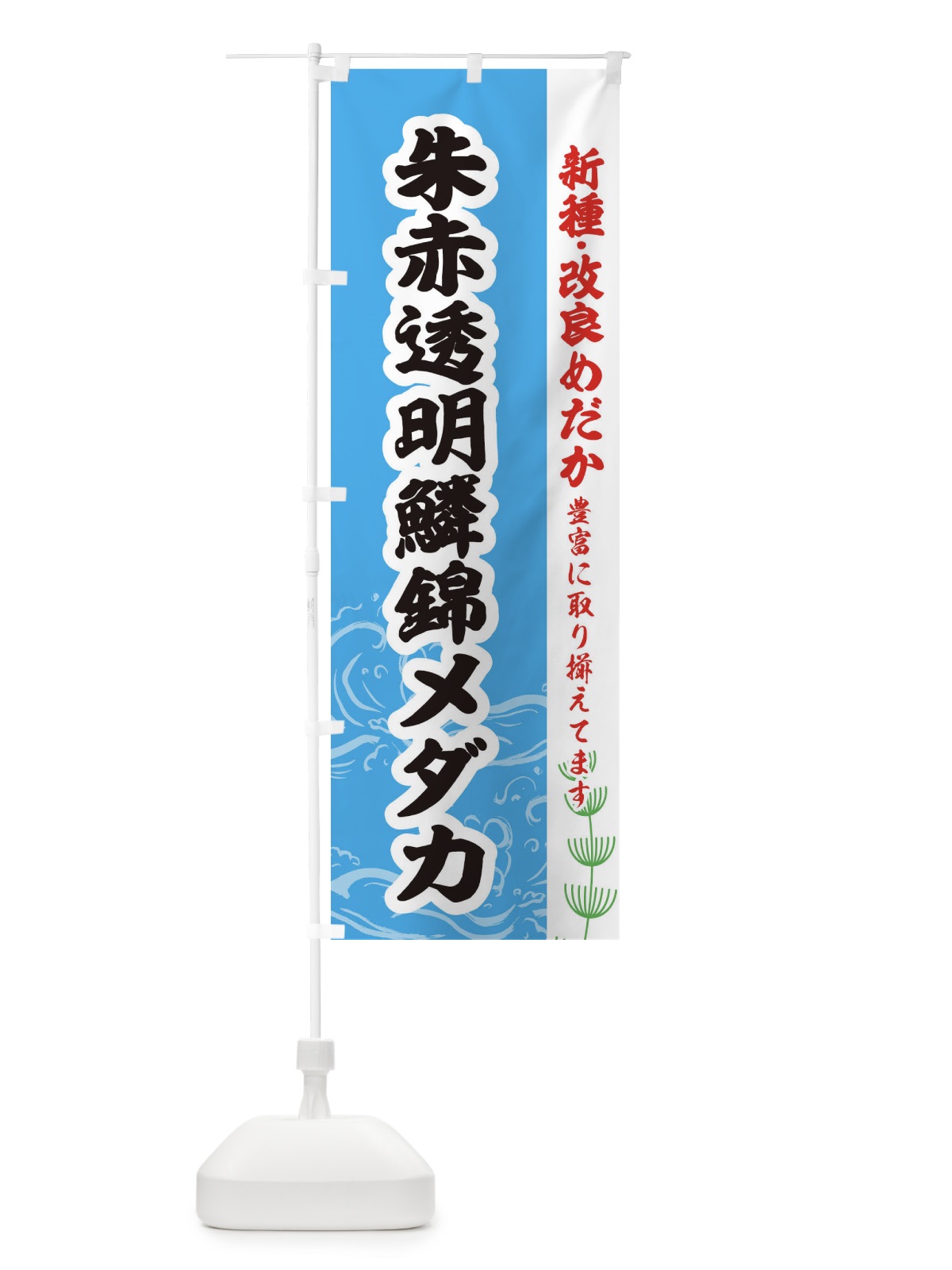 のぼり 朱赤透明鱗錦メダカ のぼり旗 EU9F(デザイン【A】)