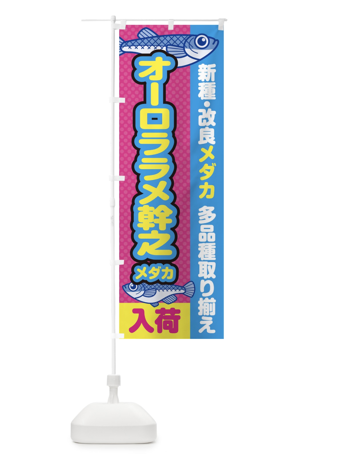 のぼり オーロララメ幹之メダカ／入荷／新種・改良メダカ のぼり旗 EY63(デザイン【B】)