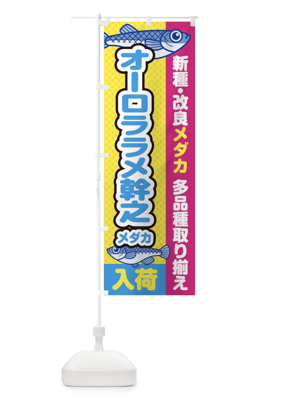 のぼり オーロララメ幹之メダカ／入荷／新種・改良メダカ のぼり旗 EY63(デザイン【C】)