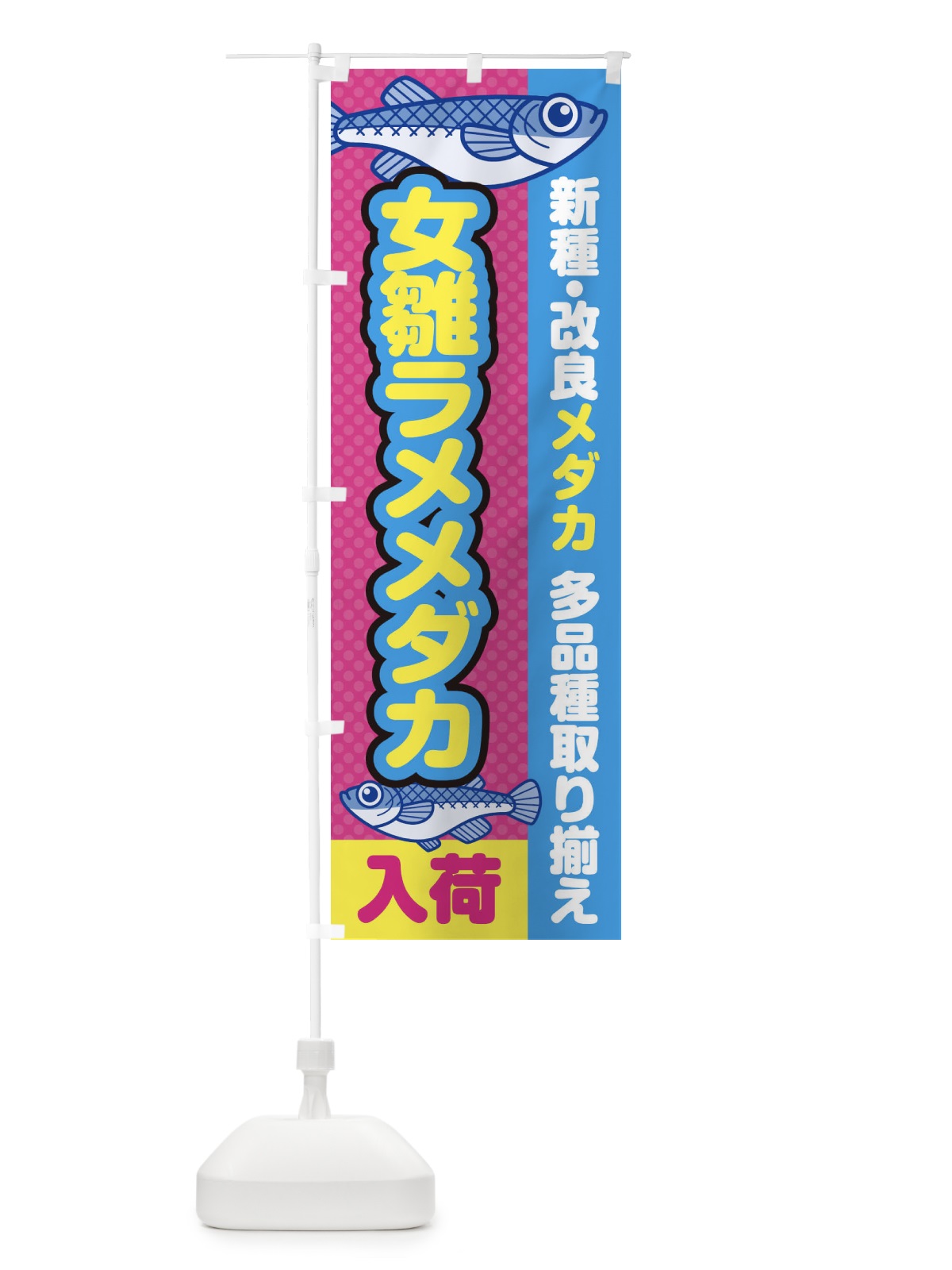 のぼり 女雛ラメメダカ／入荷／新種・改良メダカ のぼり旗 EY69(デザイン【B】)