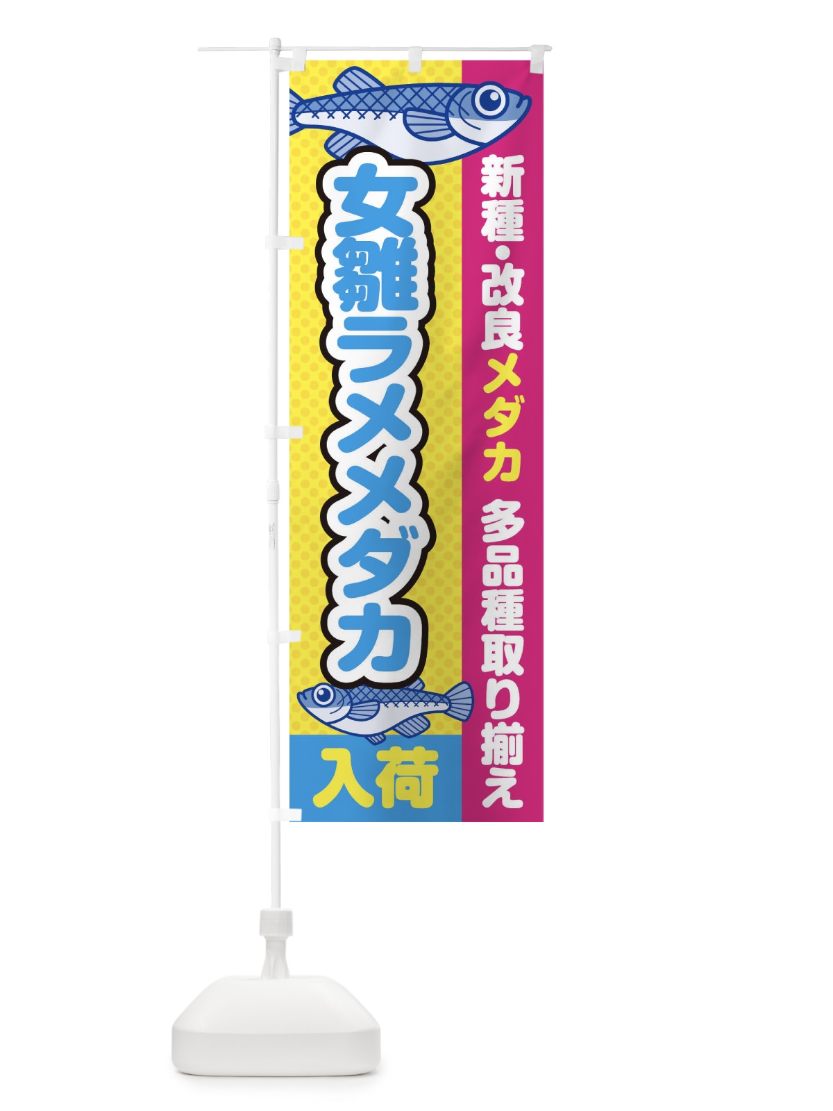 のぼり 女雛ラメメダカ／入荷／新種・改良メダカ のぼり旗 EY69(デザイン【C】)