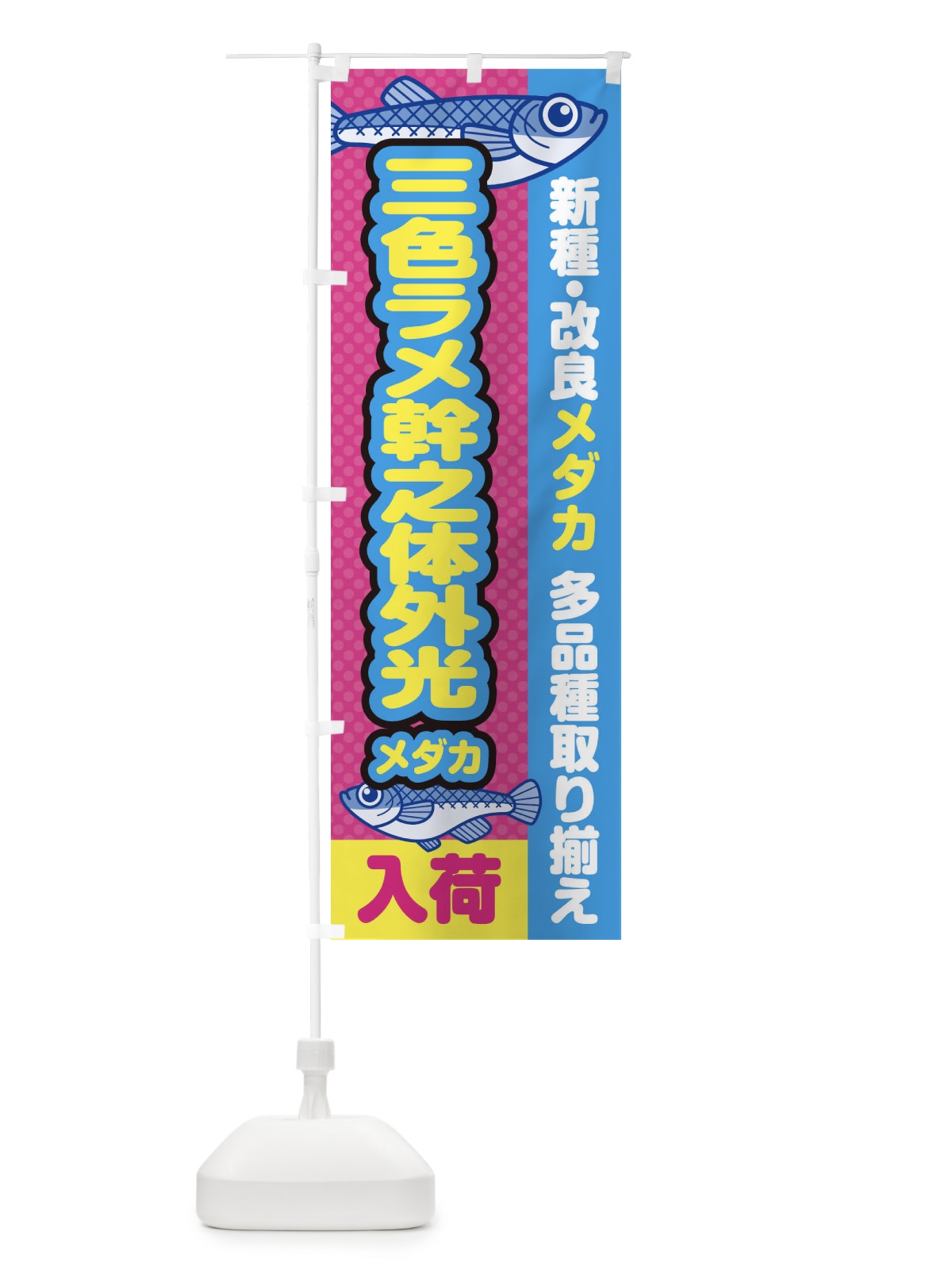 のぼり 三色ラメ幹之体外光メダカ／入荷／新種・改良メダカ のぼり旗 EY6C(デザイン【B】)