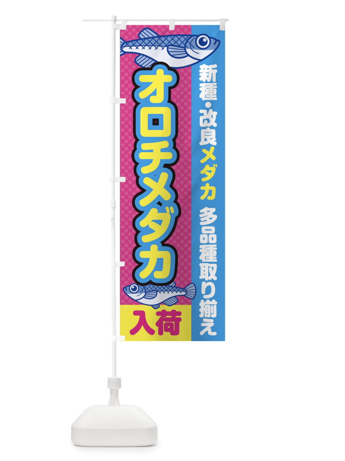のぼり オロチメダカ／入荷／新種・改良メダカ のぼり旗 EY6E(デザイン【B】)