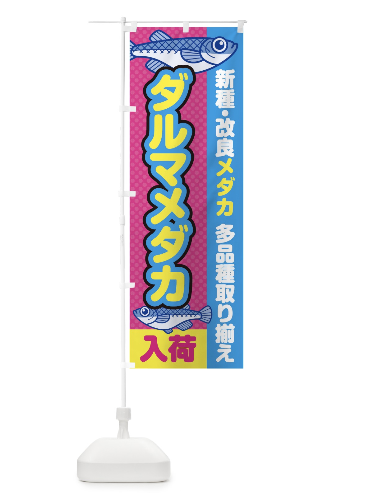 のぼり ダルマメダカ／入荷／新種・改良メダカ のぼり旗 EY6G(デザイン【B】)