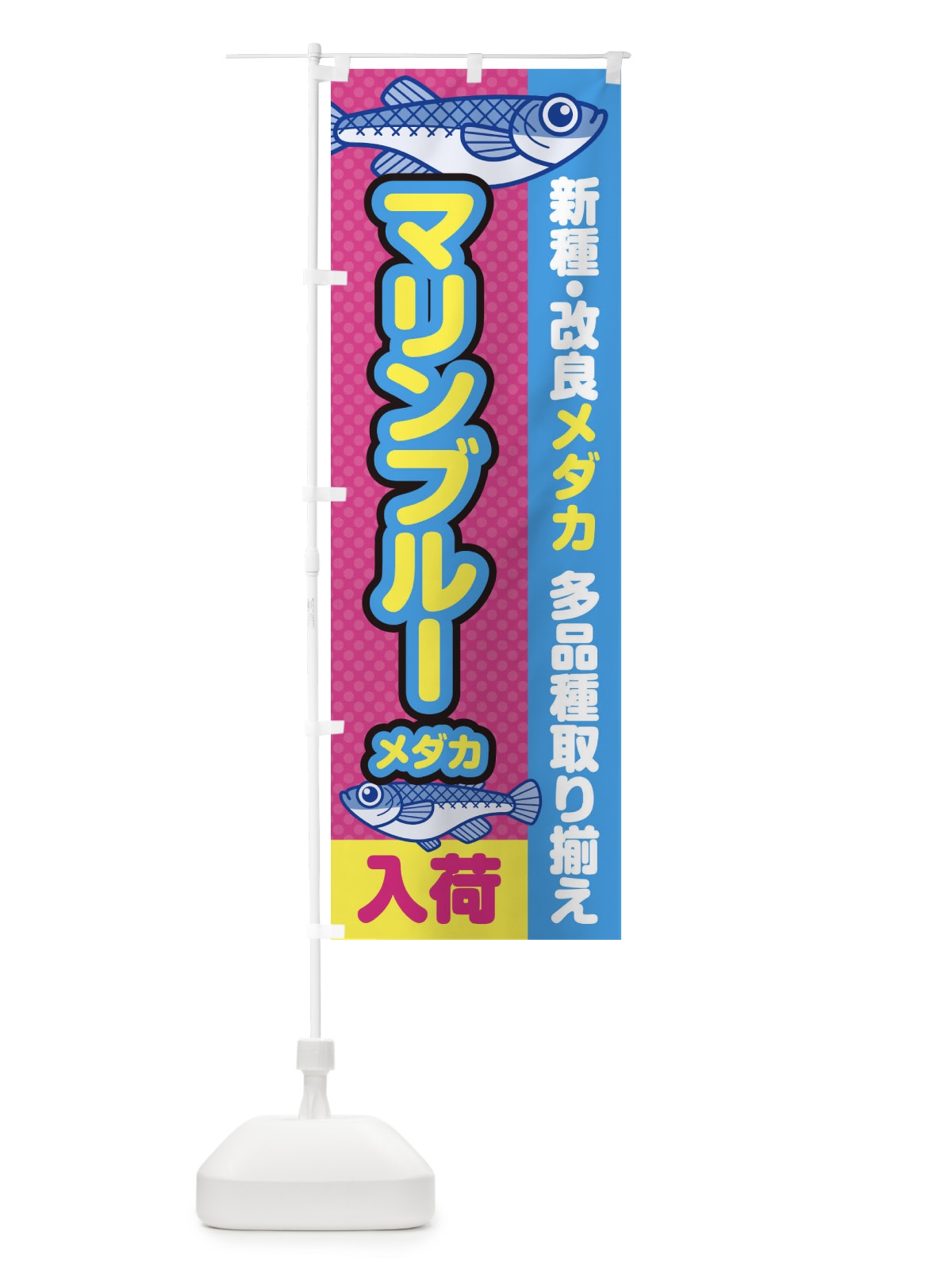 のぼり マリンブルーメダカ／入荷／新種・改良メダカ のぼり旗 EY6H(デザイン【B】)