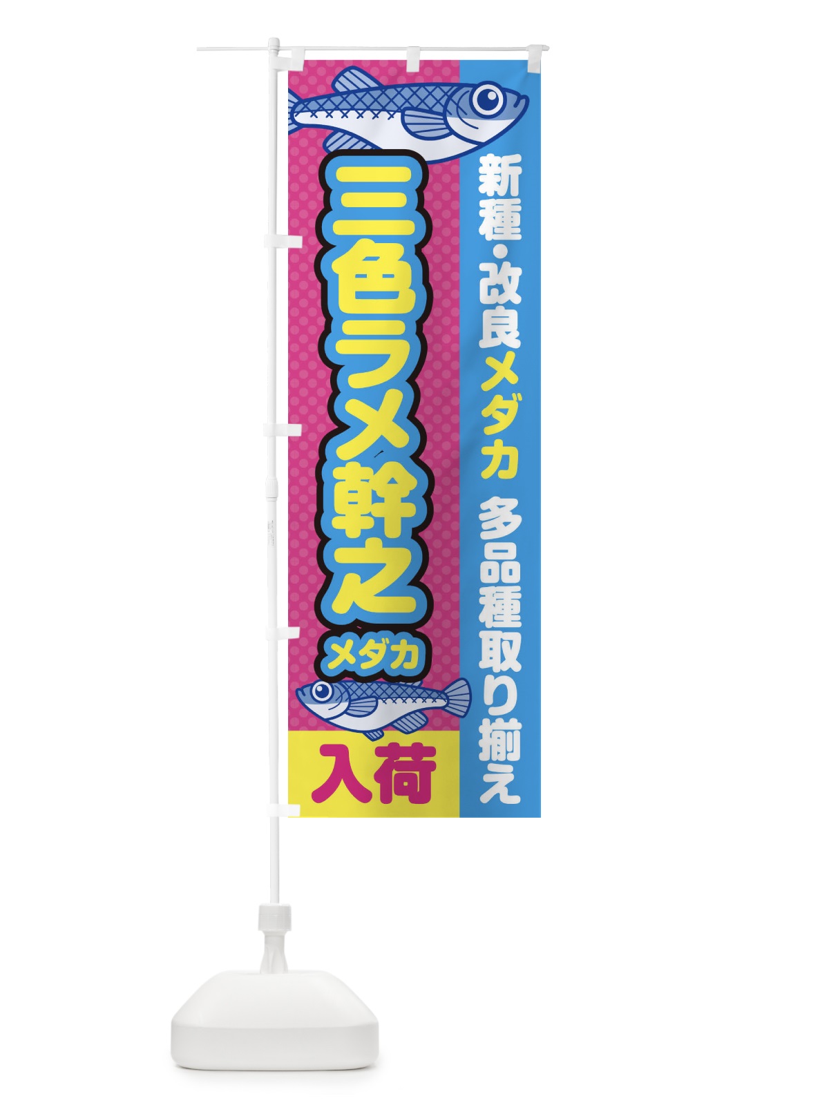 のぼり 三色ラメ幹之メダカ／入荷／新種・改良メダカ のぼり旗 EY6J(デザイン【B】)