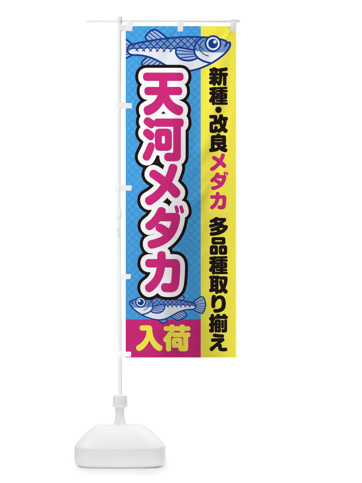 のぼり 天河メダカ／入荷／新種・改良メダカ のぼり旗 EY6L(デザイン【A】)
