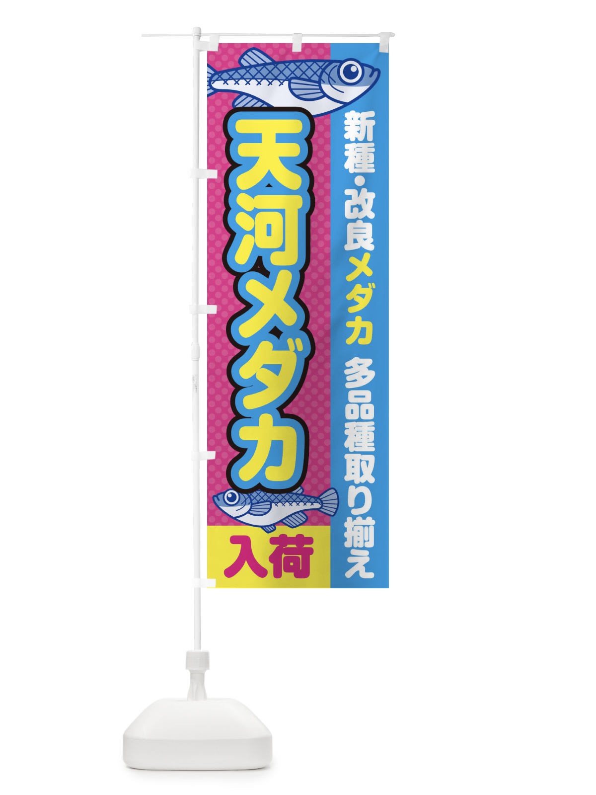のぼり 天河メダカ／入荷／新種・改良メダカ のぼり旗 EY6L(デザイン【B】)