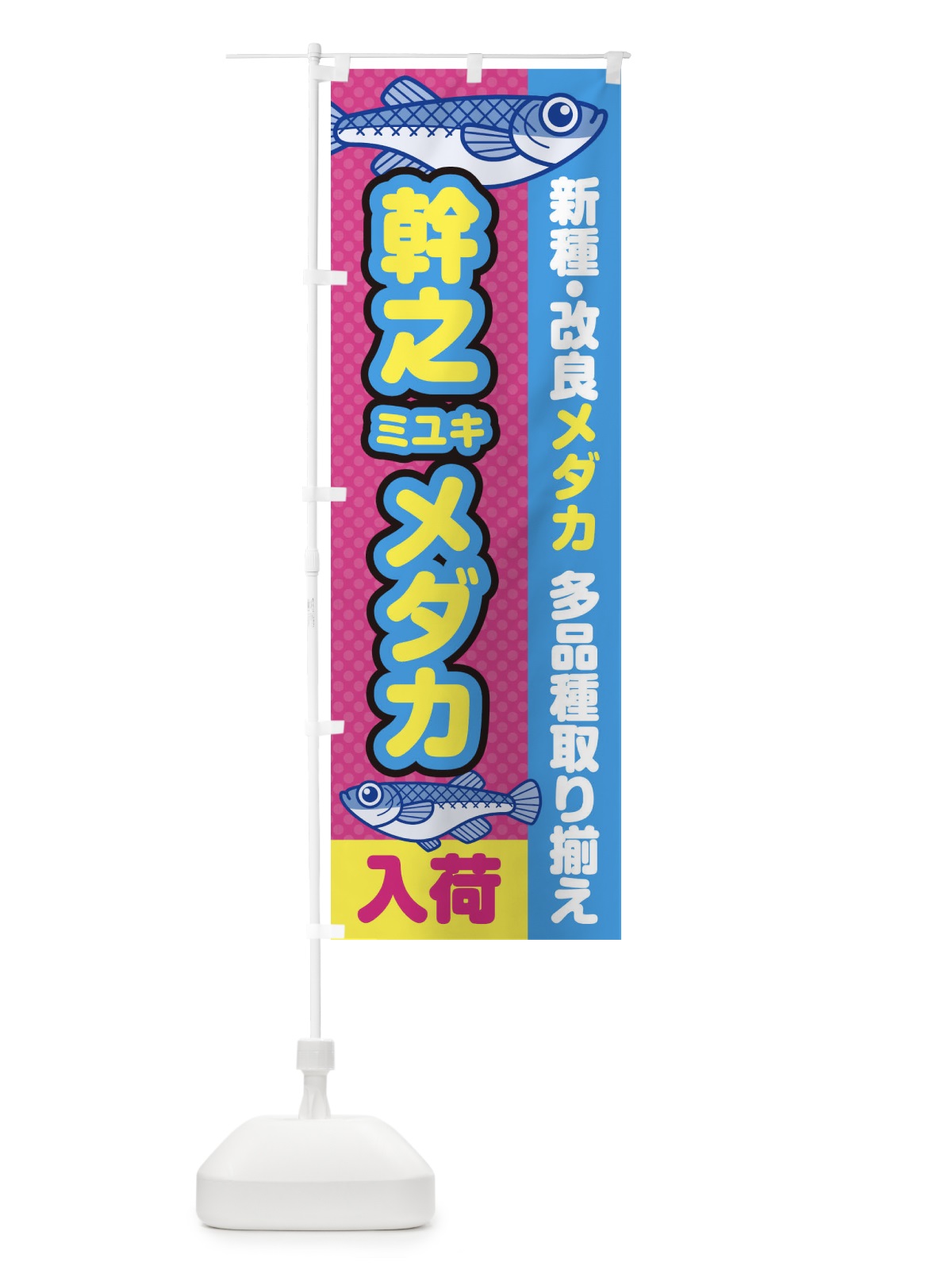 のぼり 幹之／ミユキ／メダカ／入荷／新種・改良メダカ のぼり旗 EY6P(デザイン【B】)
