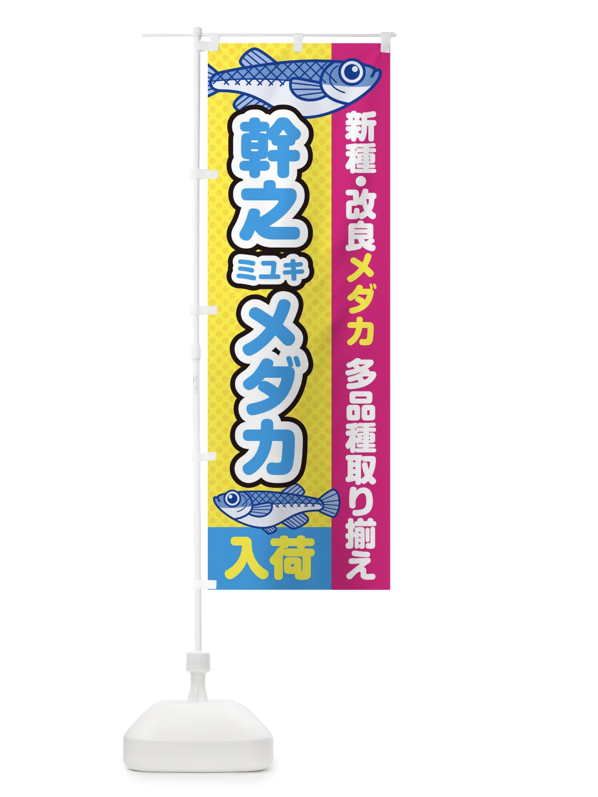 のぼり 幹之／ミユキ／メダカ／入荷／新種・改良メダカ のぼり旗 EY6P(デザイン【C】)