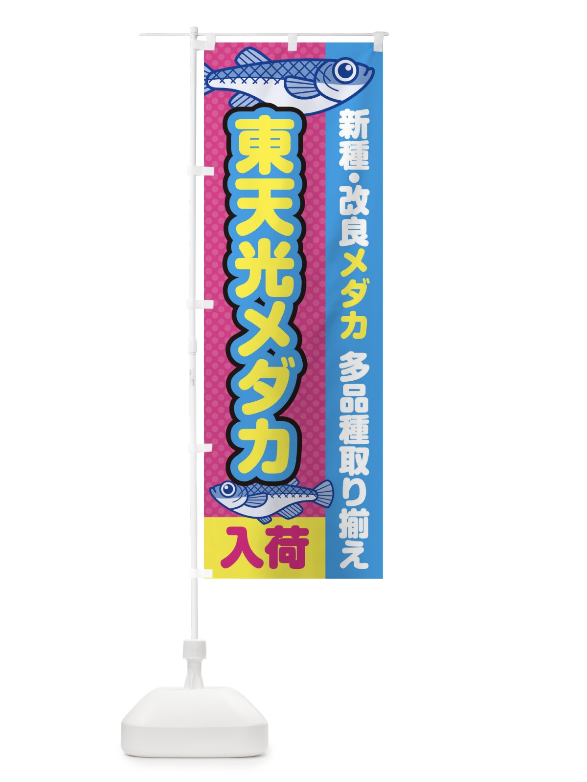のぼり 東天光メダカ／入荷／新種・改良メダカ のぼり旗 EY6S(デザイン【B】)