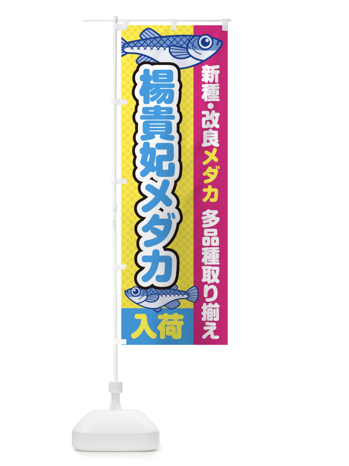 のぼり 楊貴妃メダカ／入荷／新種・改良メダカ のぼり旗 EY6U(デザイン【C】)