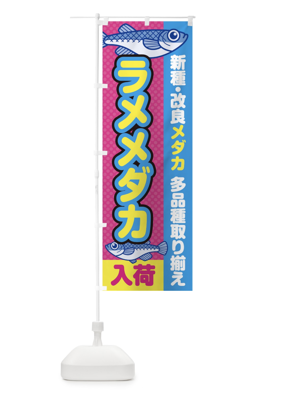 のぼり ラメメダカ／入荷／新種・改良メダカ のぼり旗 EY6W(デザイン【B】)
